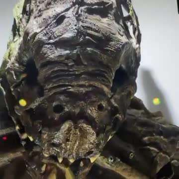 Creepy dead creatures in a Russian museum