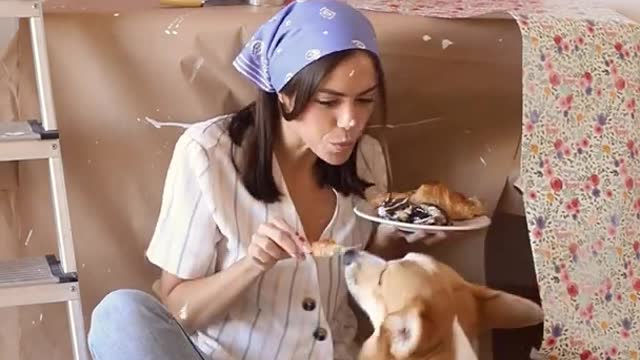 Cute Dog Eating With Cute Girl। Pet Lovers। Pet Lovers usa