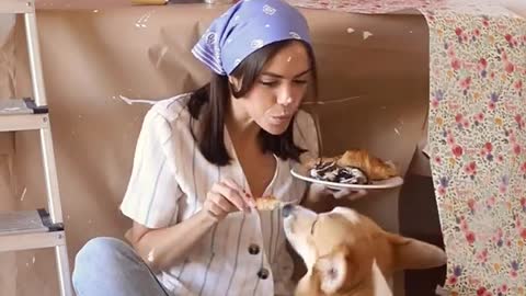 Cute Dog Eating With Cute Girl। Pet Lovers। Pet Lovers usa