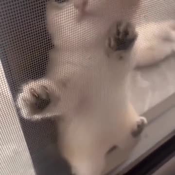 Tu Tut Tut Tut turururu turururu tuu