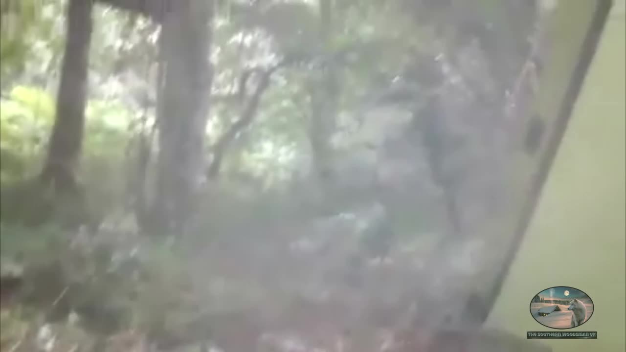 Wildcamping clearing down leave no trace