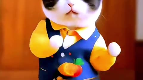 cute baby animals funny cats and dogs videos,