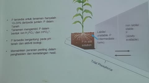P27 Analisa Kesesuaian Tanah dan Demonstrasi SoilScanner, Kalumpang, 27 Jun 2024