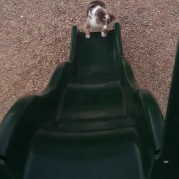 When you feel like it's so close to the weekend, the someone reminds you it's Wednesday.