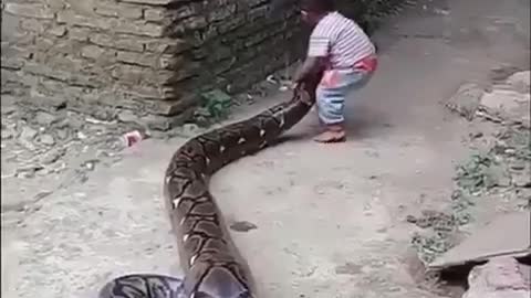 How the boy played with snake