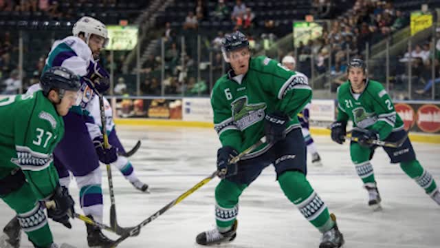 MASSIVE FIGHT Breaks out During Hockey Playoff Game, Including Goalies