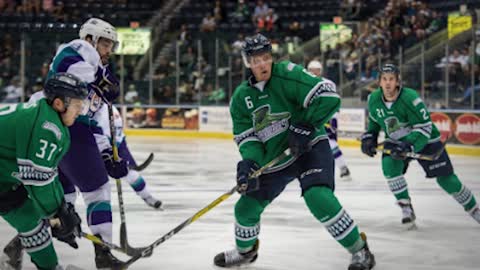 MASSIVE FIGHT Breaks out During Hockey Playoff Game, Including Goalies
