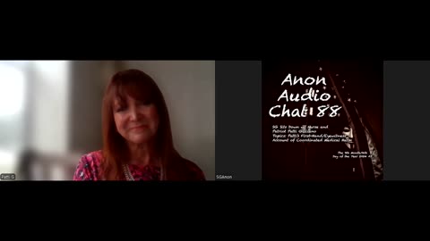(9/4/2024) | AUDIO CHAT 88 | SG Sits Down w/ Nurse Practitioner Patti Gilliano for an Incredible Account of Medical Humanicide