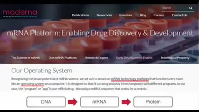 Dr. Andrew Wakefield: Spike Protein for Dummies