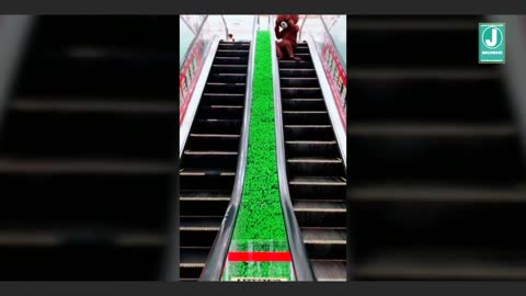Top Funny video, Whatsapp Status Video Clips Tik Tok