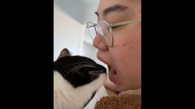 See what Cat does when you OPEN your Mouth