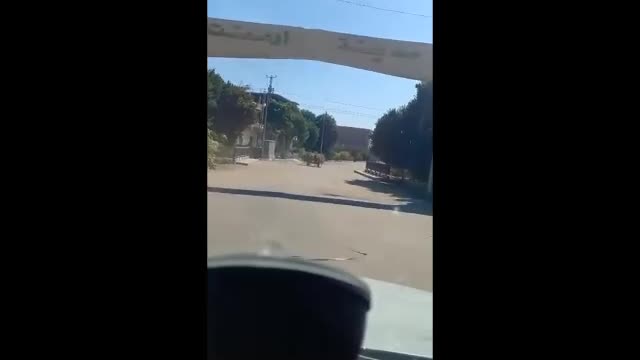 Tour by motorcycle on the road in Egypt