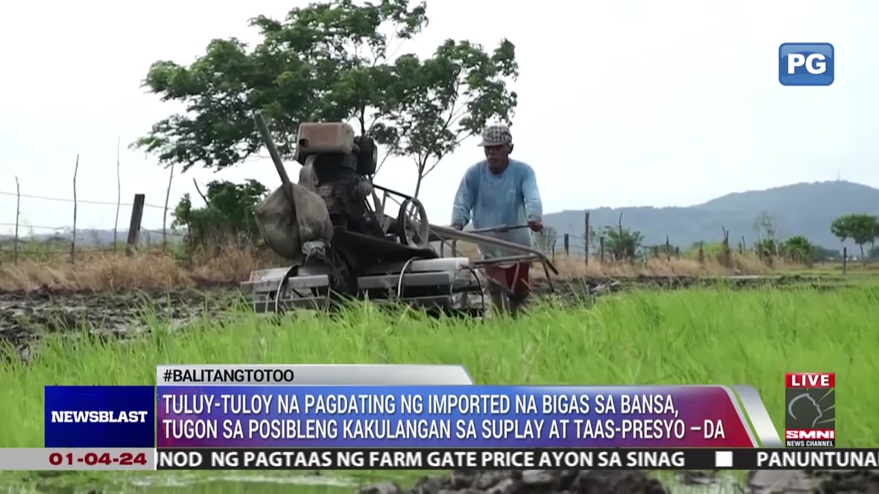 Presyo ng bigas, posibleng tumaas ng P2/kilo kasunod ng pagtaas ng farm gate price
