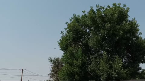 💥👀 Chinook Helicopter Is Back In Sheridan Wyoming!