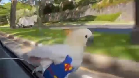 I wish it was summer