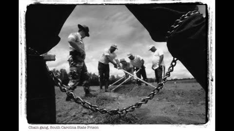 FREE FROM THE CHAIN GANG NOW