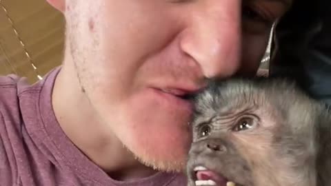 poor monkey 😄