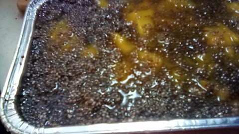 Easy No Cook Jellied Mango Dessert