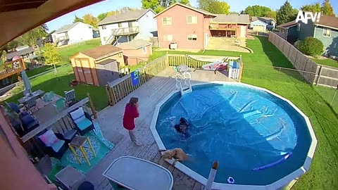 Security Camera Mess Ups! 🎥😁 CCTV Camera Fails