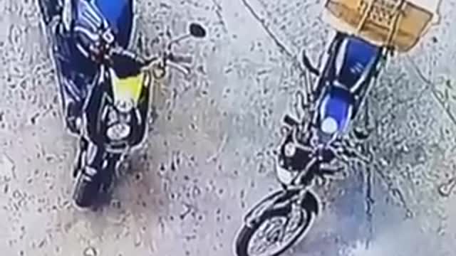 Locos videos tienes que verlo y no reírte