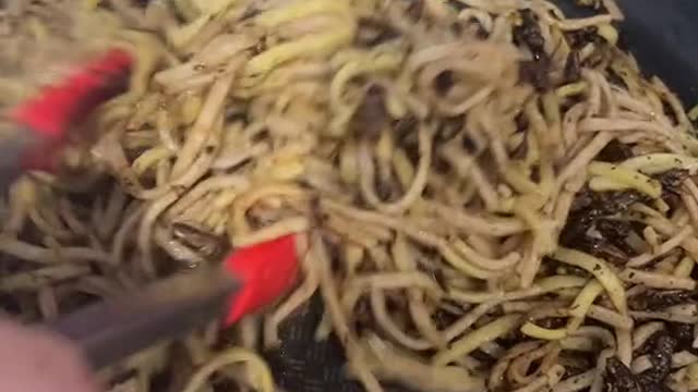 Cricket stir fry - made from scratch