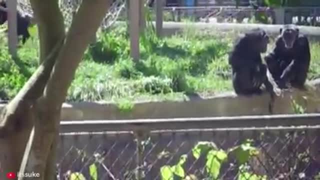 15 HORRIFIC Ways Animals Kill Their Prey | Pet Spot