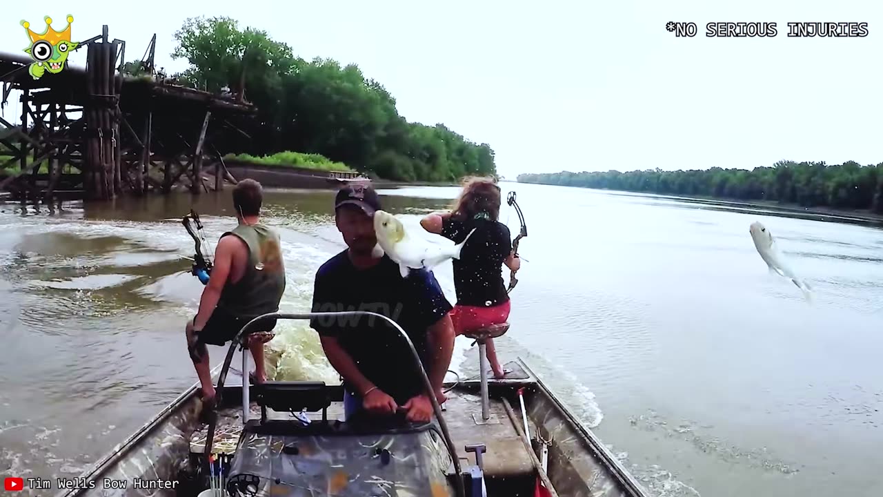 When Animals Go On A Rampage And Got Caught On Camera !