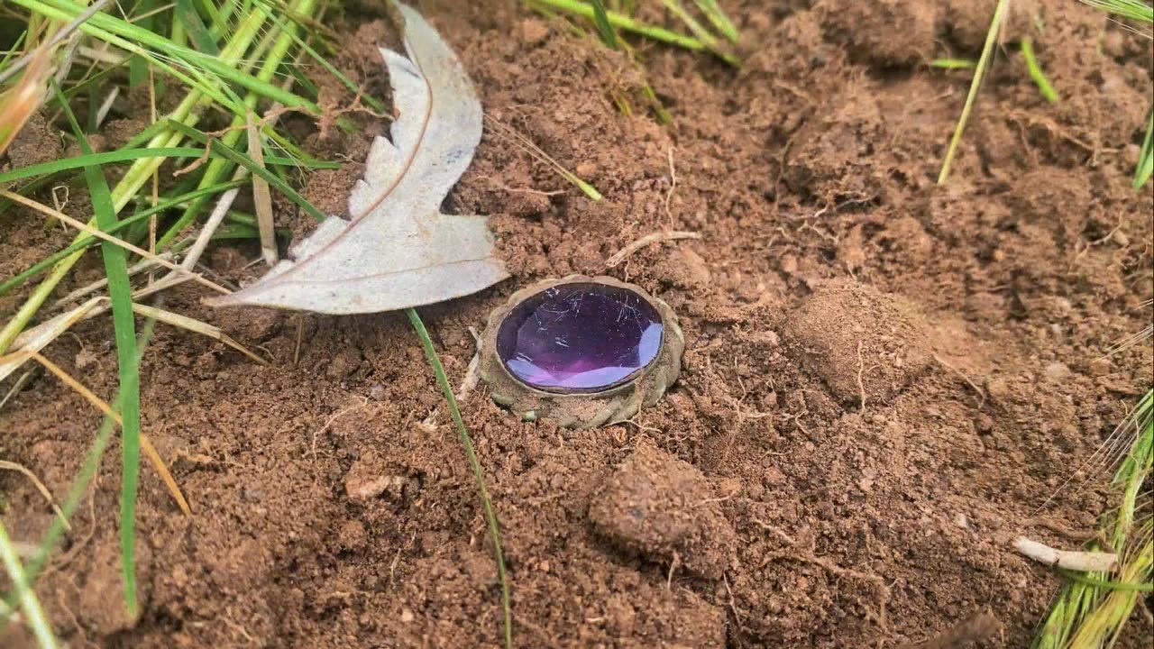 King William III 1694 Metal Detecting With Minelab