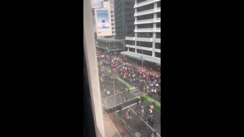 Potestas en Wellington NZ contra Jacinda Ardem por sus políticas Covid
