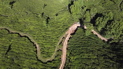BEAUTIFULL SCEN Nature beauti very beautifull