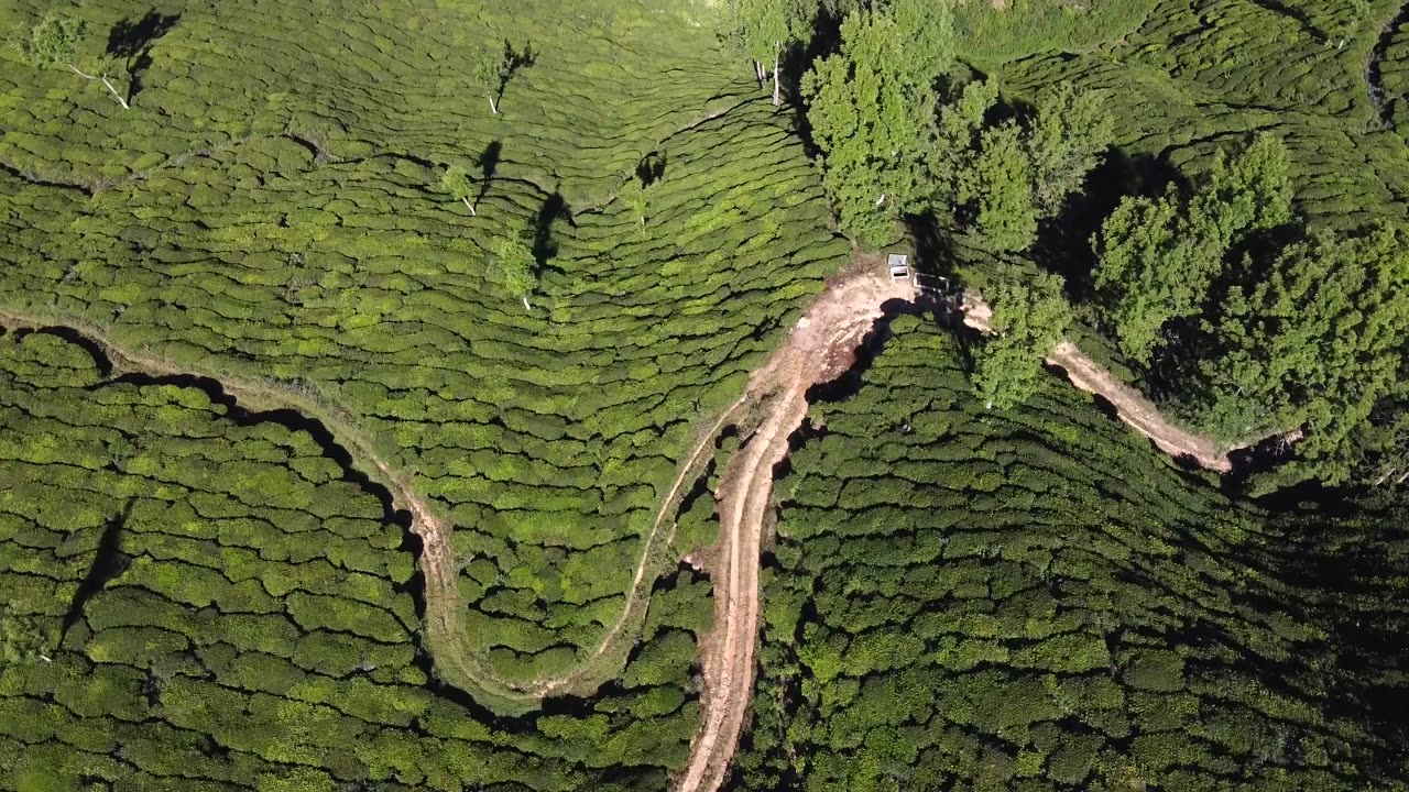 BEAUTIFULL SCEN Nature beauti very beautifull