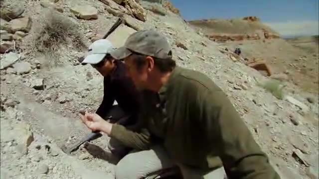 Dirty Jobs: The Dino-Dig Workout