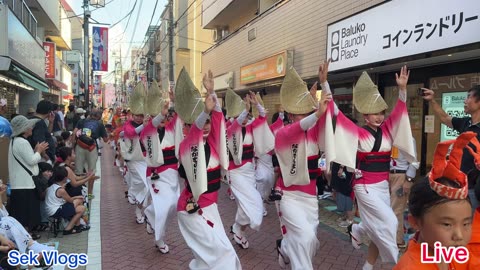 🇯🇵 Tokyo Koenji Awa Odori festival | awa odori festival 2024 | japan vlog #japan #festival #travel