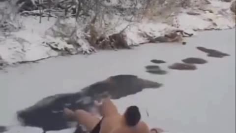 The end 😂😂😂 #funny #viral #shorts #reels #funnyvideos #laughinggenetics