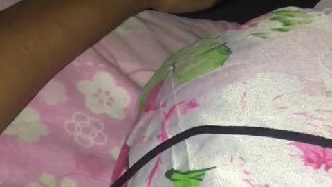 lil 'kitty doesn't want to sleep