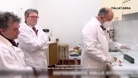 Kiwi fruit tests positive for COVID-19