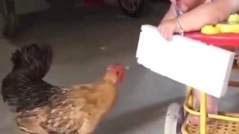 Funny baby