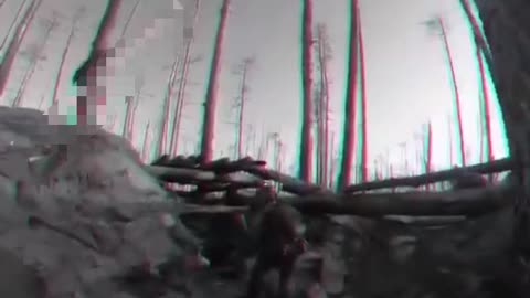 🇷🇺🇺🇦Combat work of snipers of the Russian Armed Forces
