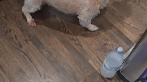 Happy 6th Birthday, Berkeley!