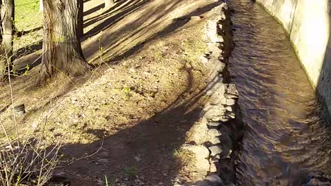 Acequia Madre in Santa Fe NM