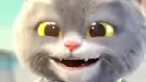 Gatos fofinho mostrando suas foufuras
