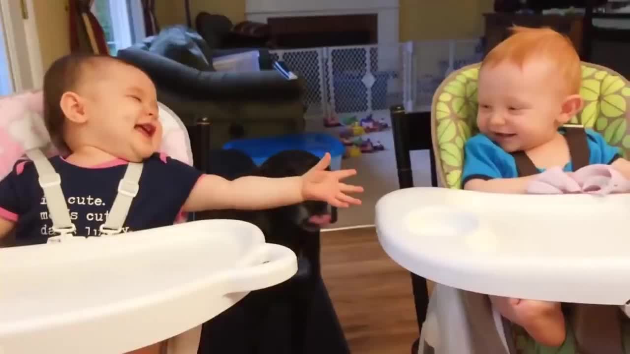 Best videos of funny twin babies