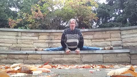 Splits On Stone Wall (1)