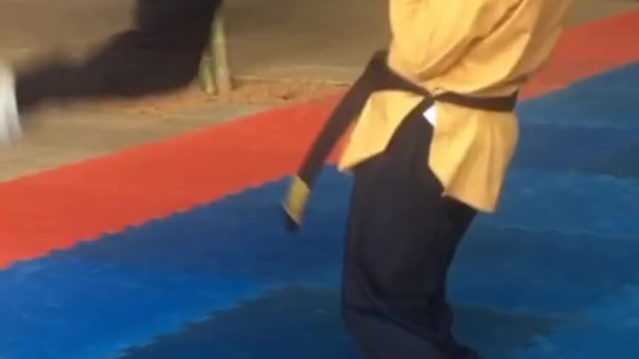 Taekwondo