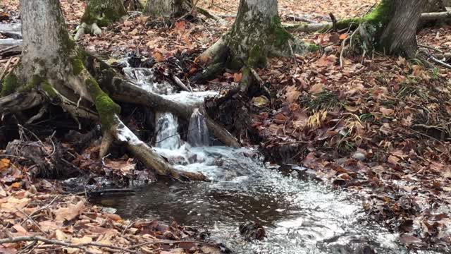 Dynamic Creek! Waterfalls & Sounds. One Hour Relaxation.