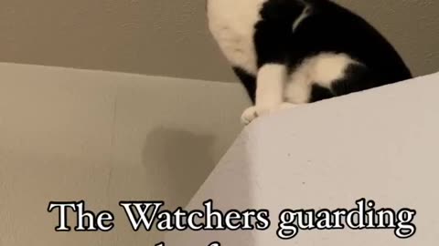 The Watchers