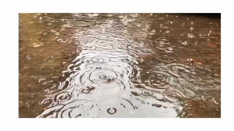 Rain امطار