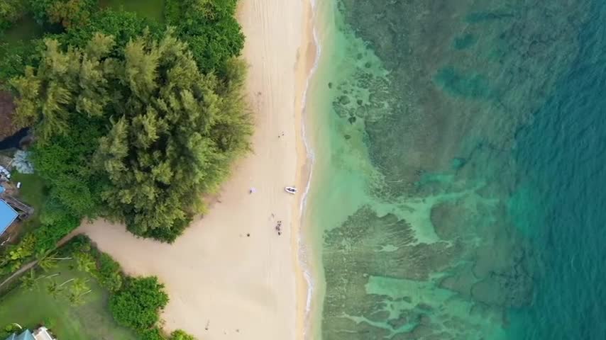 the beautiful beach