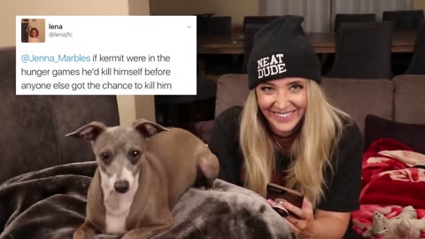 Reading Mean Comments About My Dogs