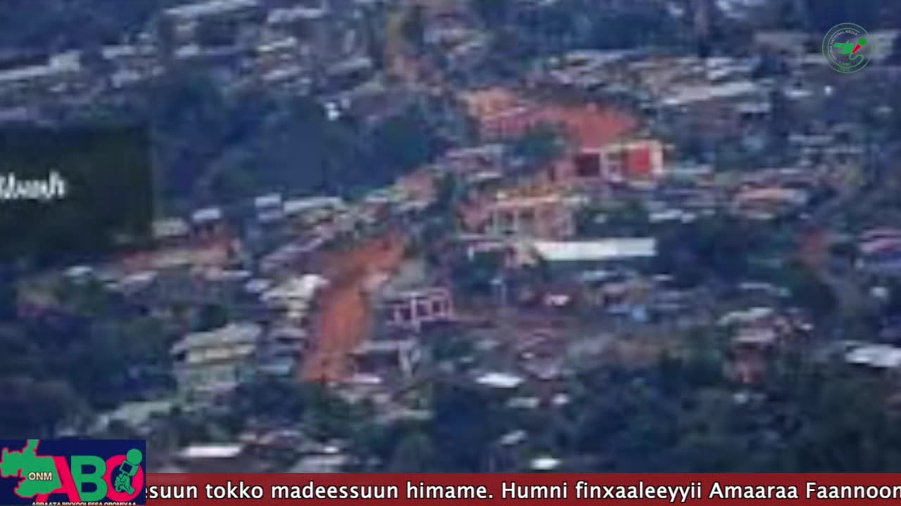 Oduu Waaree ONM-ABO Bitootessa 8,2024 Itti Dhiyaadhaa!